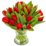 أزهار توليب حمراء