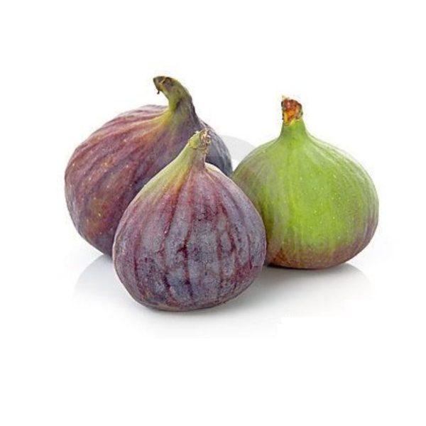 التين الأحمر
