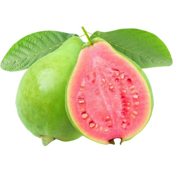 الجوافة الحمراء